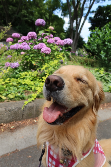 ファイル 8047-4.jpg