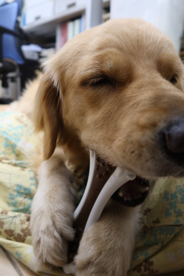 ファイル 8048-5.jpg