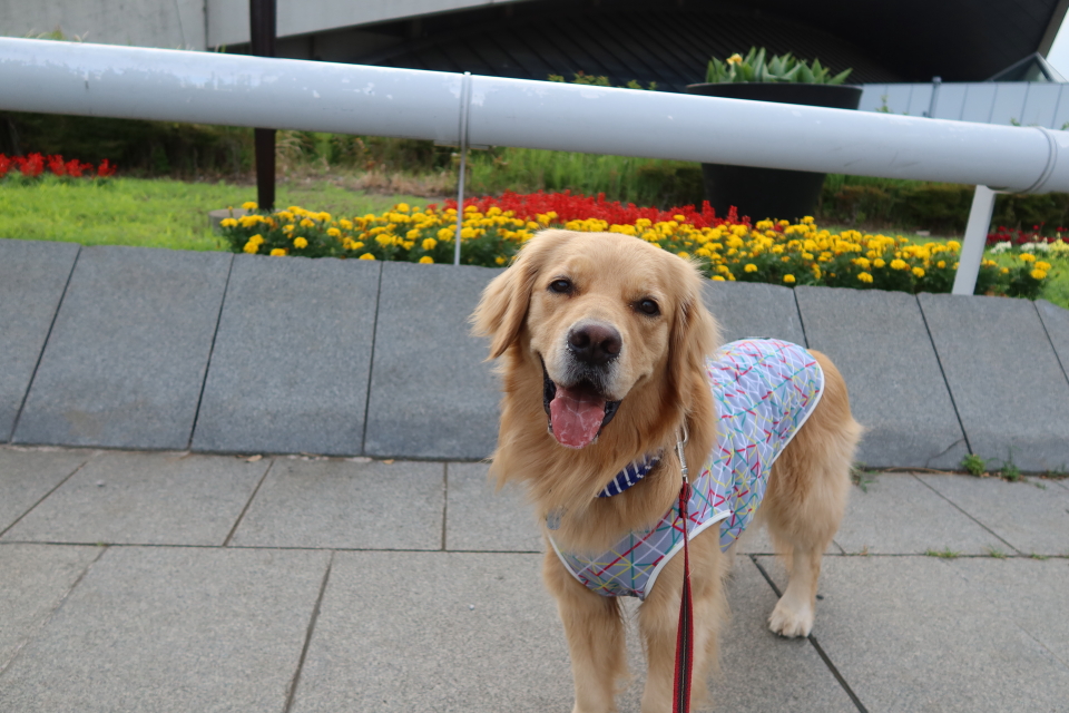 ファイル 8050-4.jpg