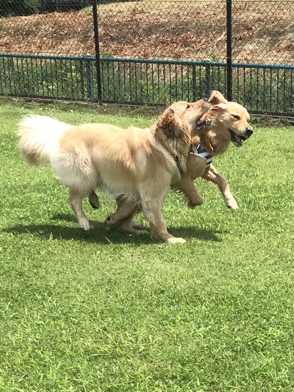 ファイル 8051-2.jpeg