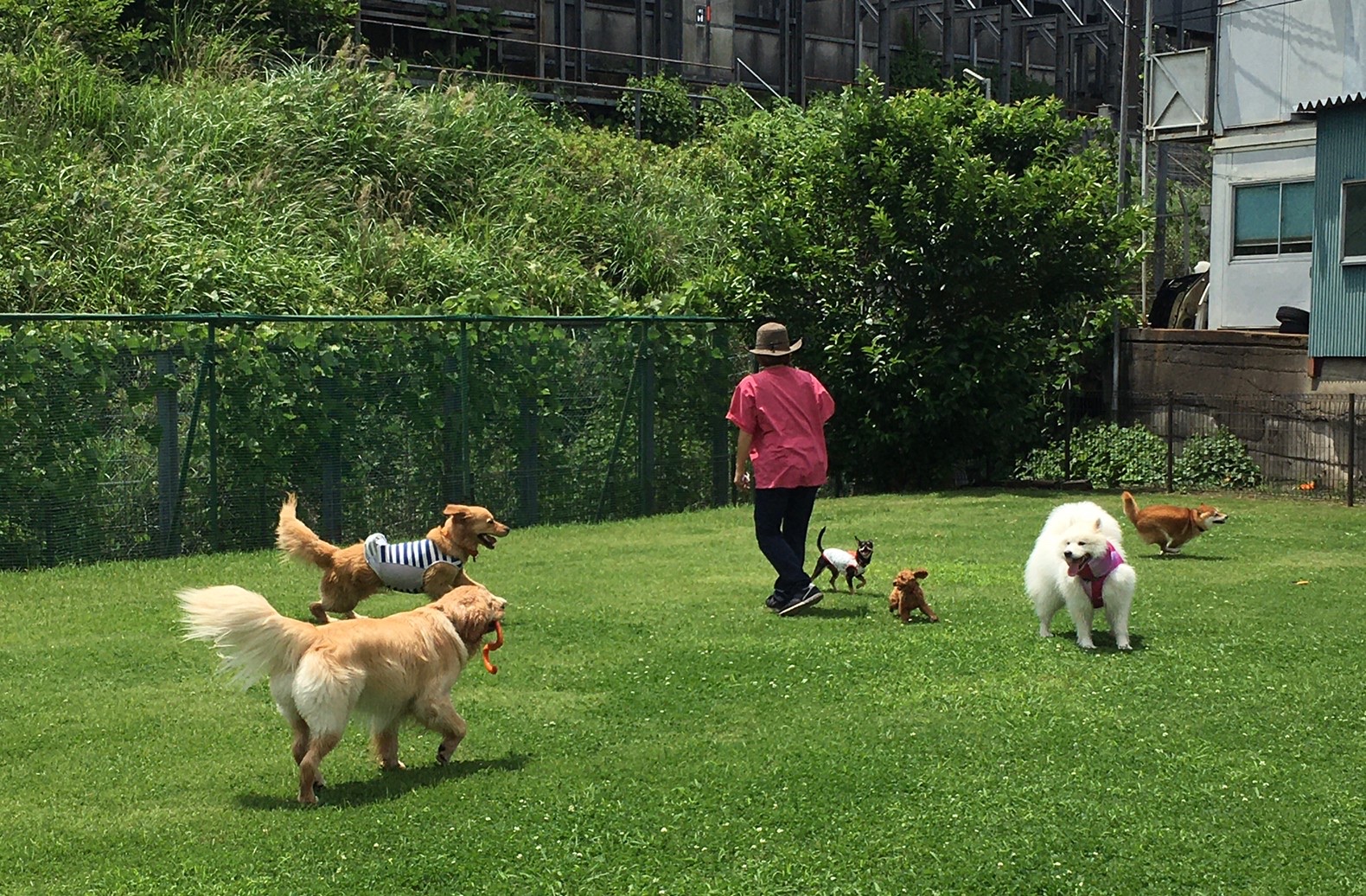 ファイル 8051-4.jpeg