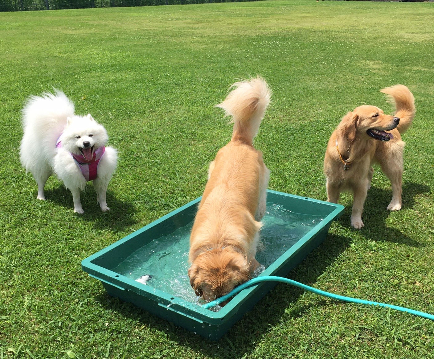 ファイル 8051-5.jpeg