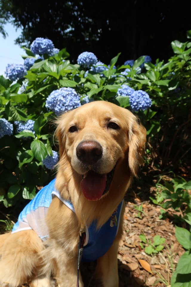 ファイル 8052-3.jpg