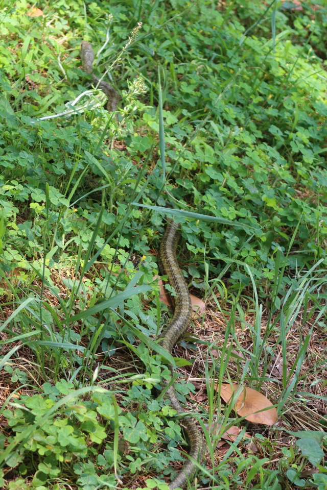 ファイル 8052-4.jpg