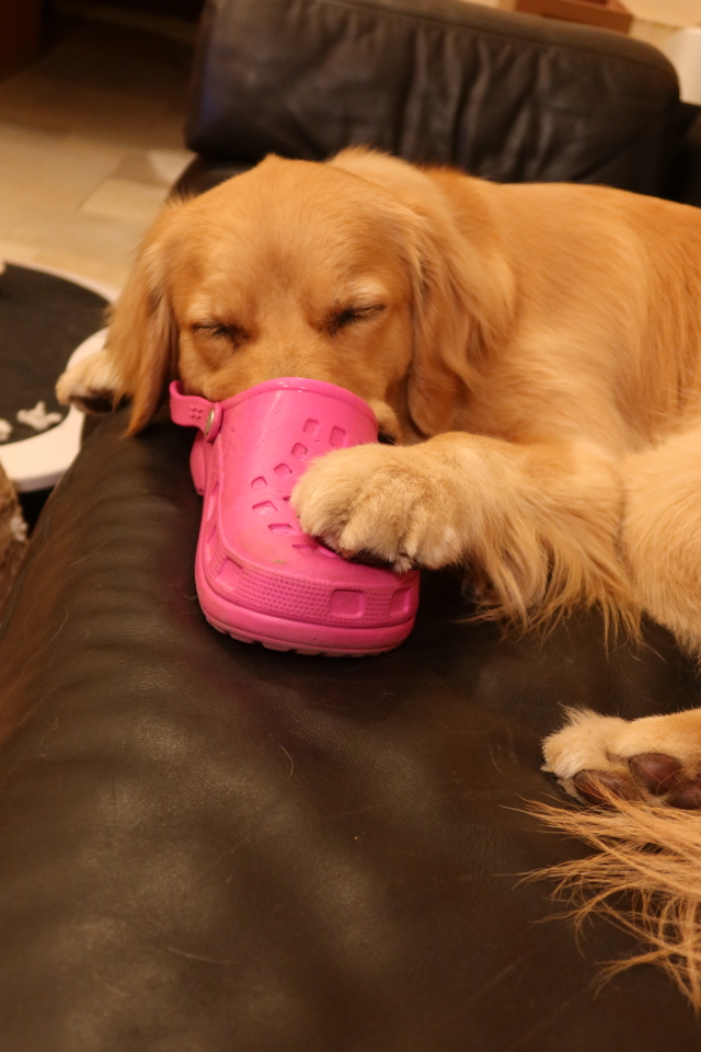 ファイル 8053-3.jpg