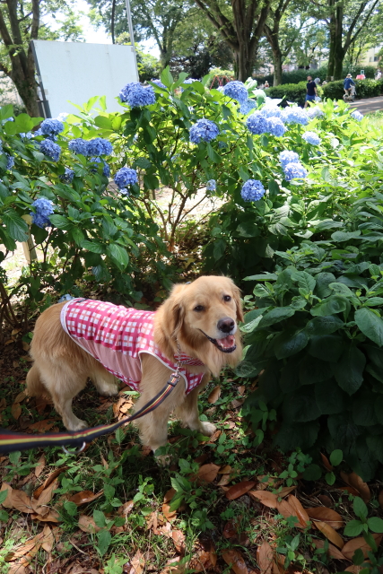 ファイル 8055-2.jpg