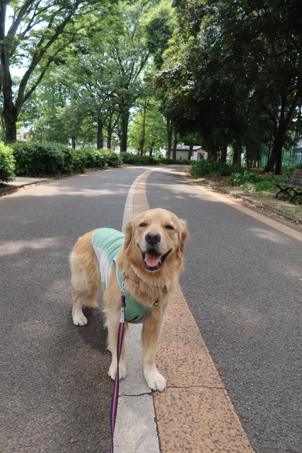 ファイル 8056-1.jpg