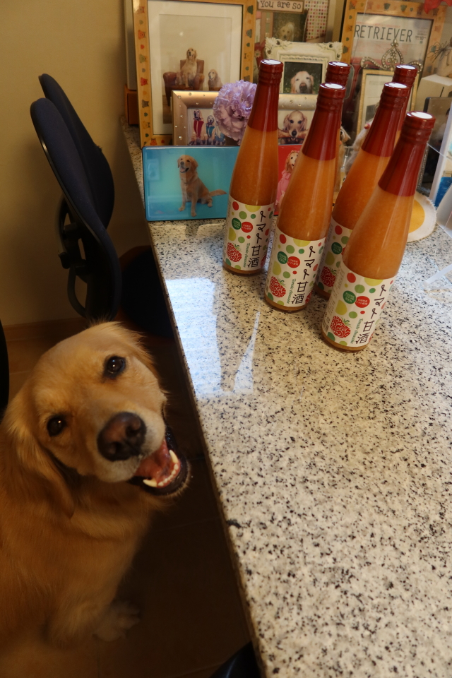 ファイル 8056-2.jpg