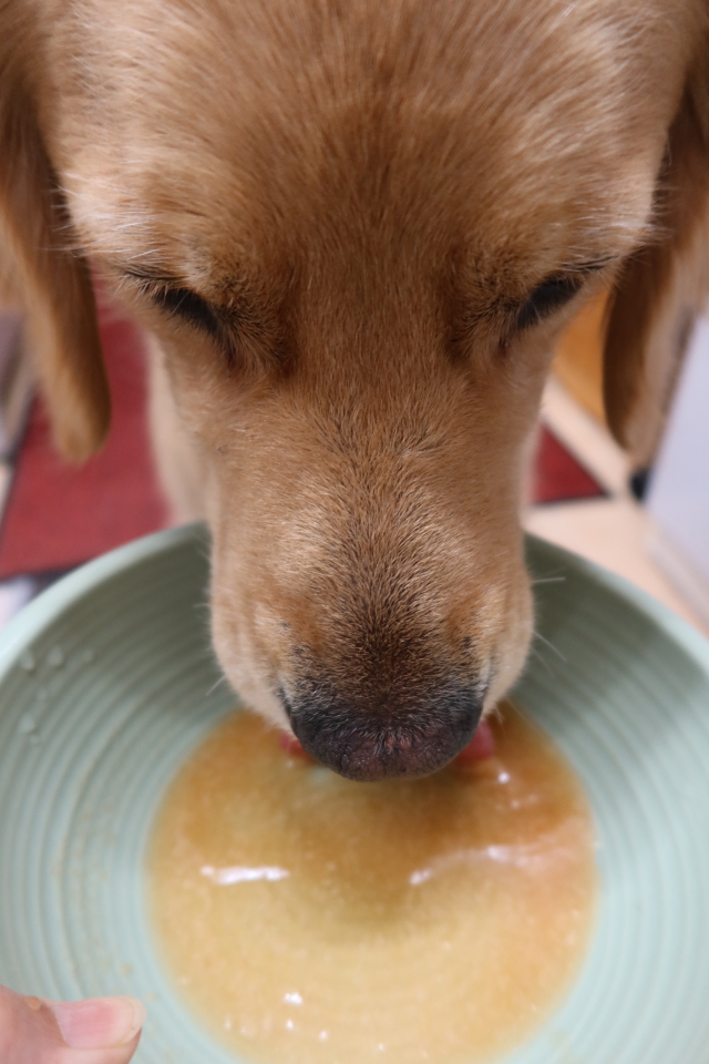 ファイル 8056-3.jpg