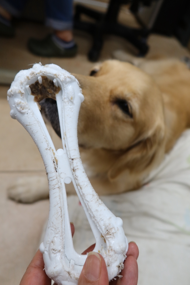 ファイル 8056-4.jpg