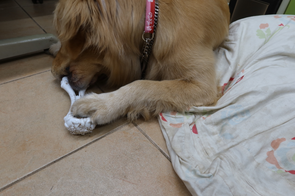 ファイル 8056-5.jpg