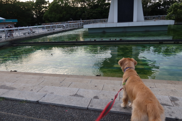 ファイル 8058-2.jpg