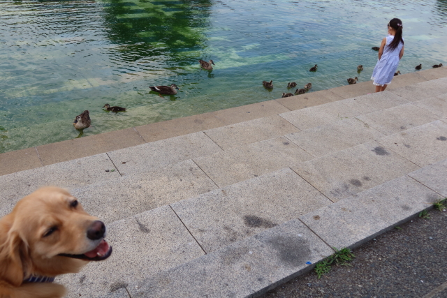 ファイル 8058-3.jpg