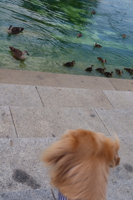 ファイル 8058-4.jpg