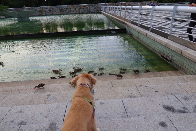 ファイル 8058-5.jpg