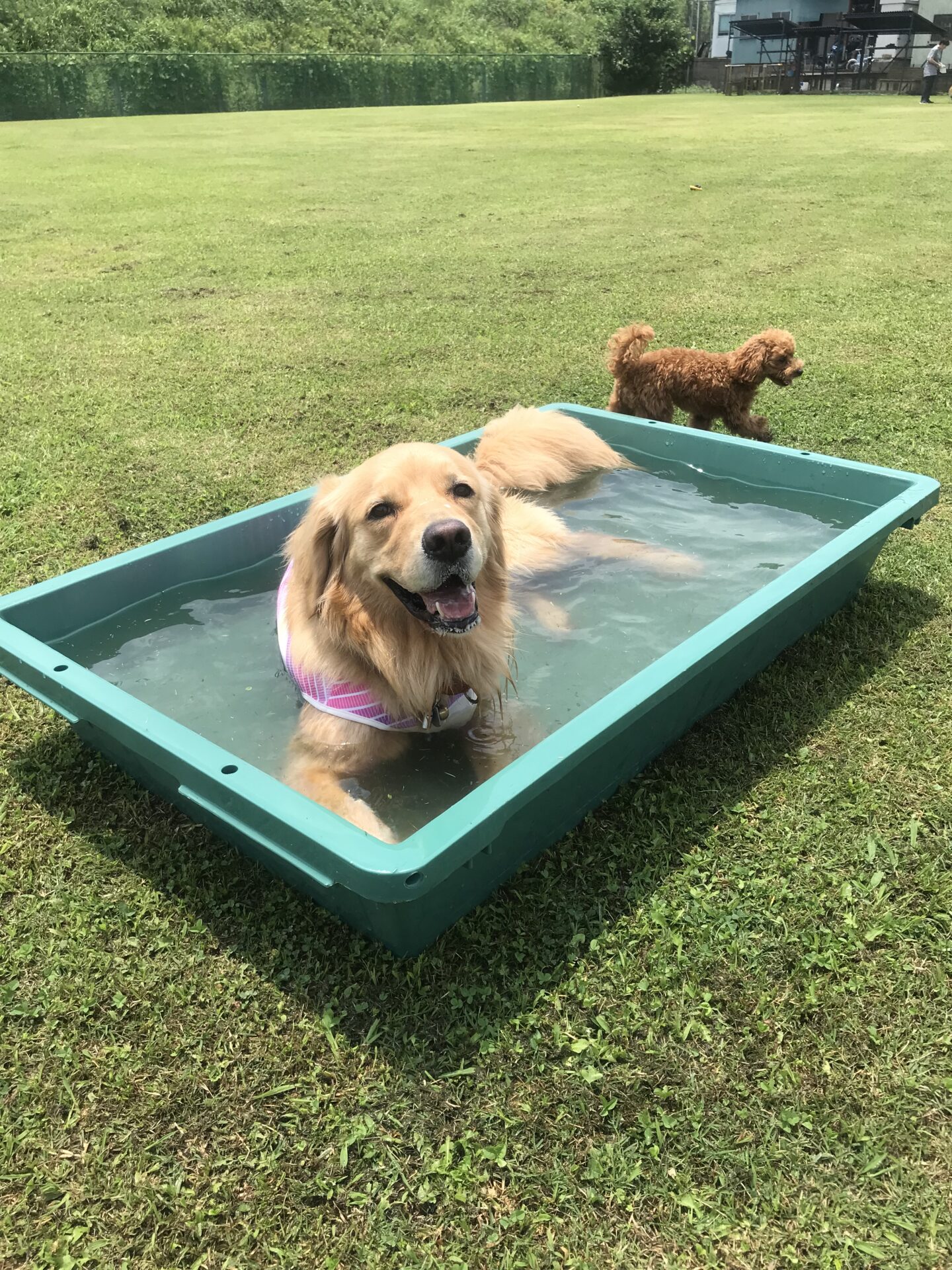 ファイル 8059-3.jpeg