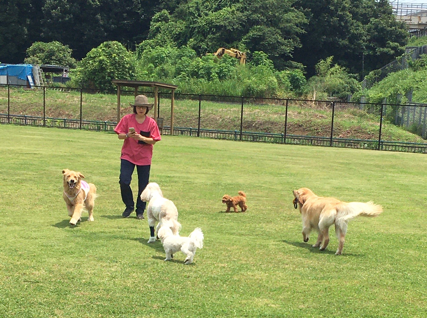 ファイル 8059-4.jpeg