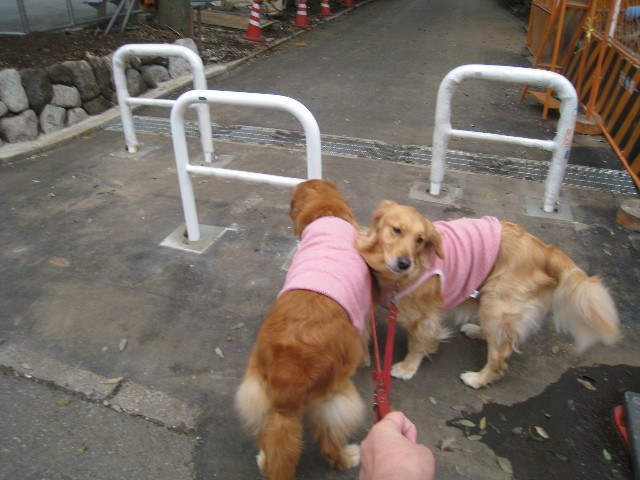 ファイル 806-1.jpg