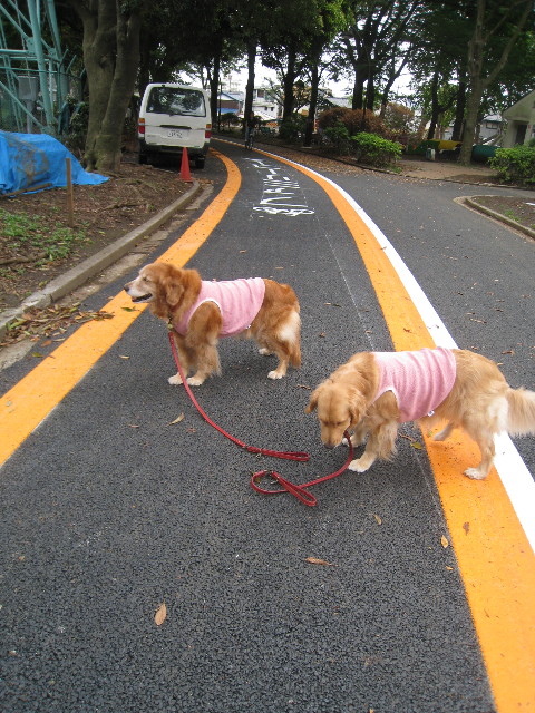 ファイル 806-2.jpg