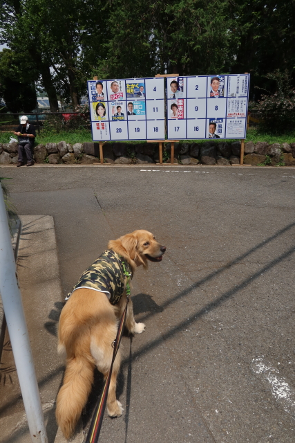 ファイル 8061-4.jpg