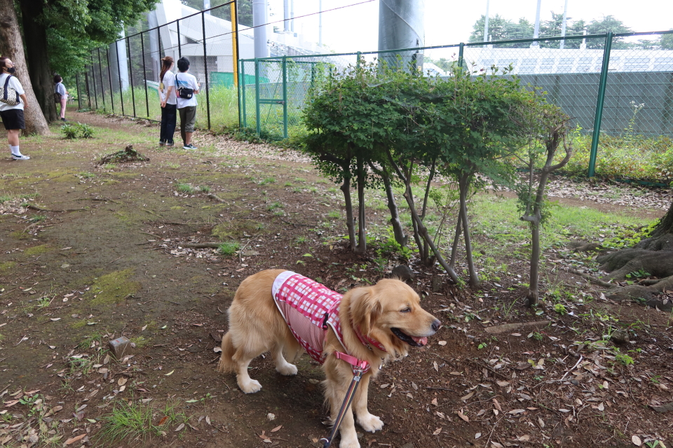 ファイル 8062-2.jpg