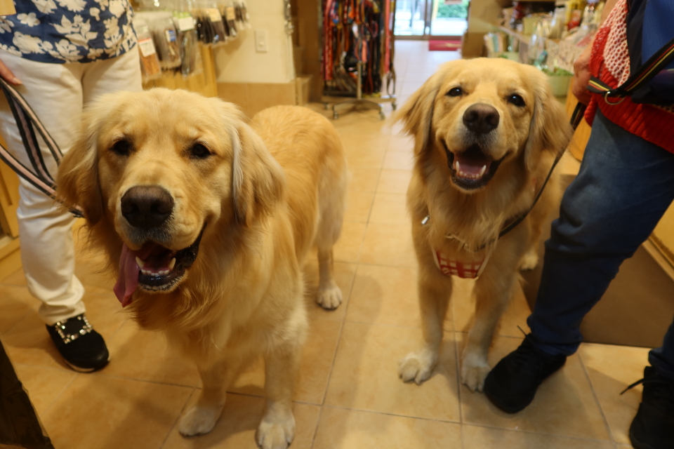 ファイル 8062-4.jpg