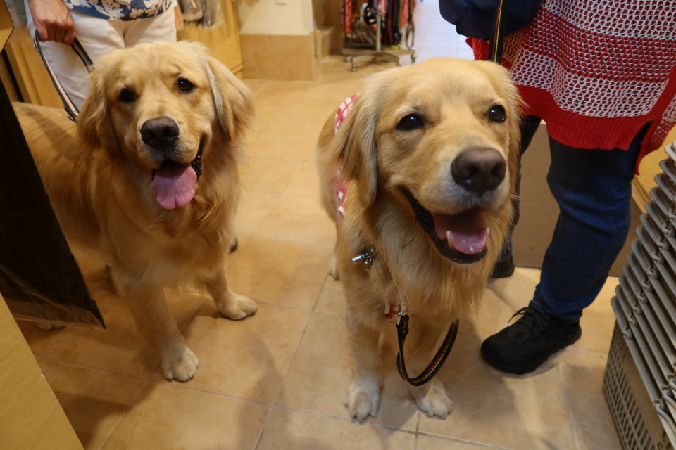 ファイル 8062-5.jpg