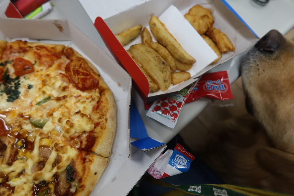 ファイル 8067-4.jpg