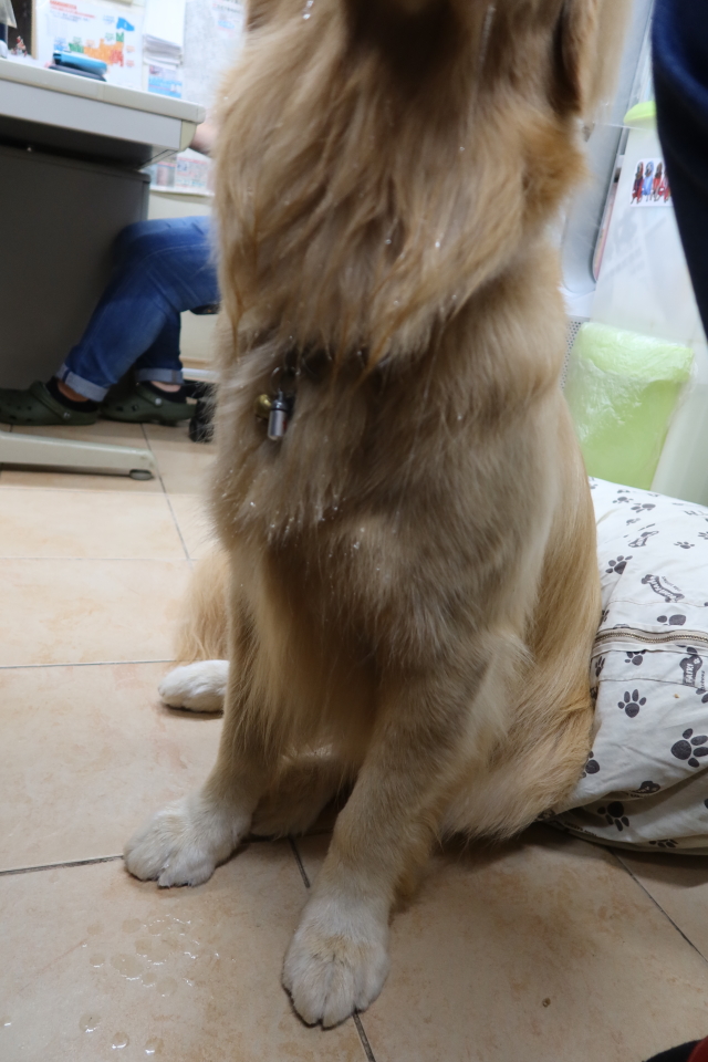 ファイル 8067-5.jpg