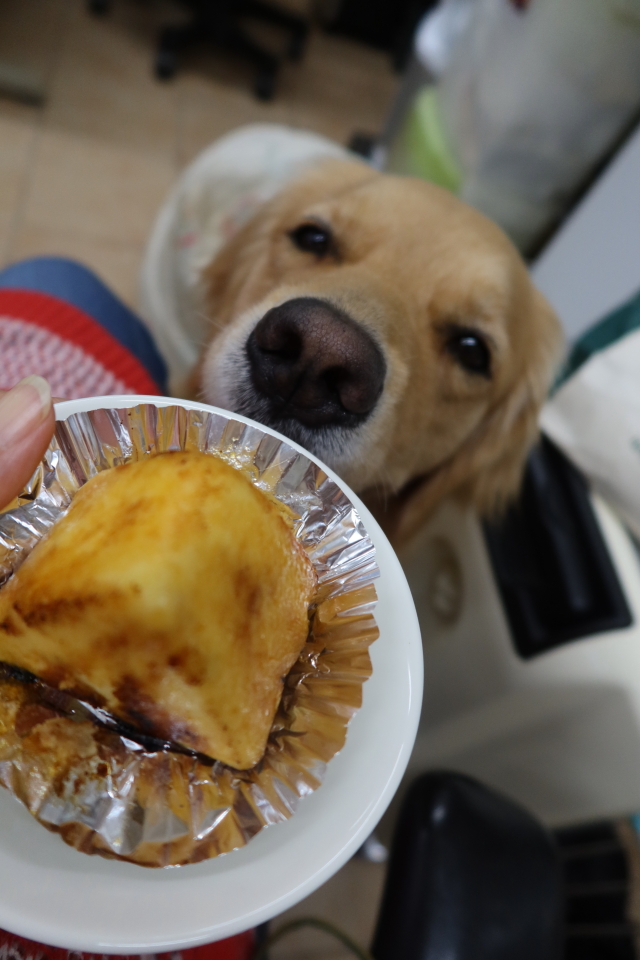 ファイル 8069-2.jpg