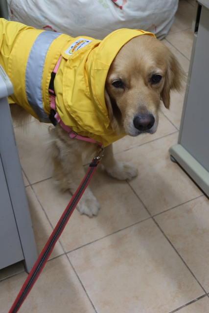 ファイル 8069-5.jpg