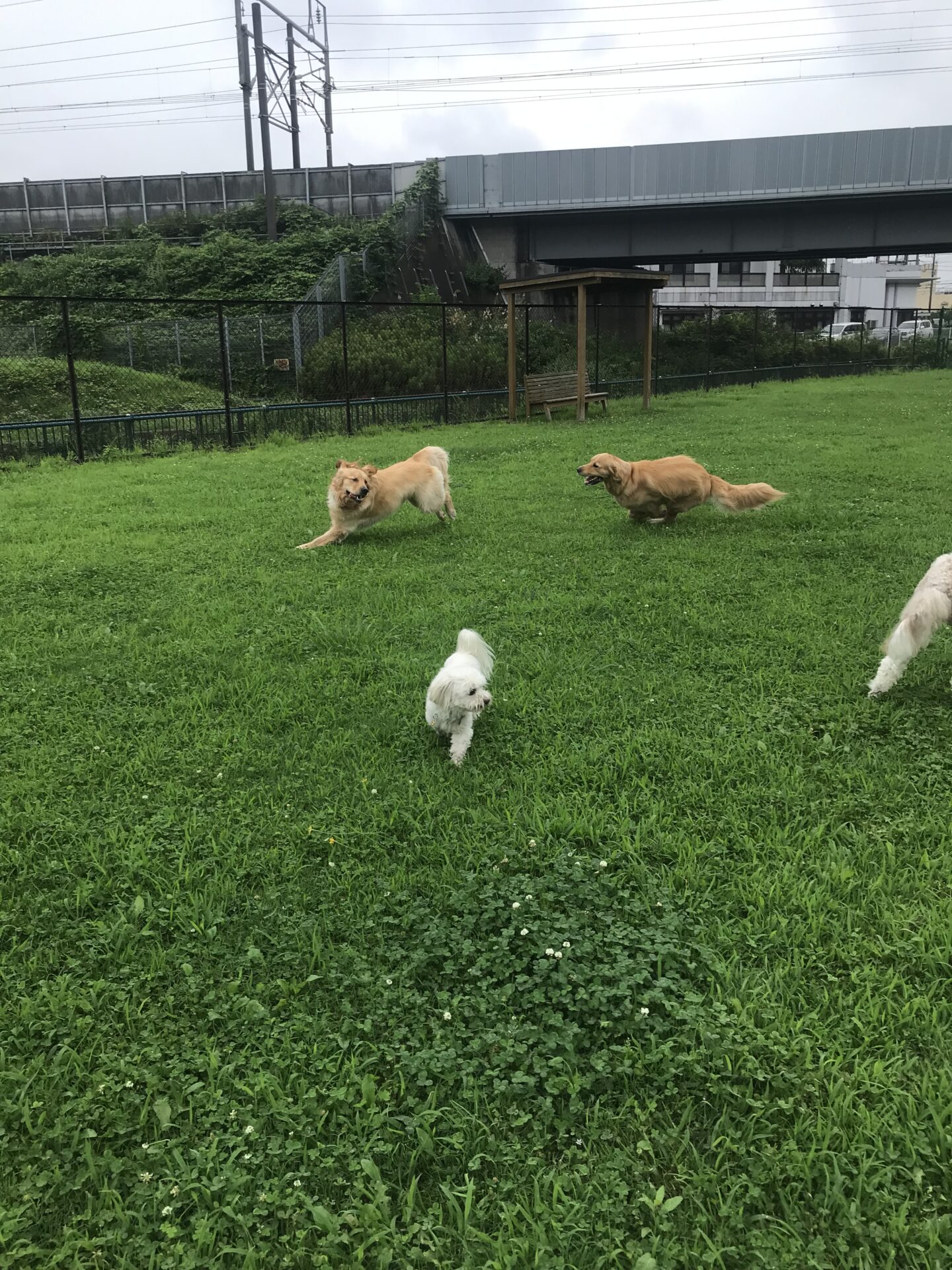 ファイル 8072-2.jpeg