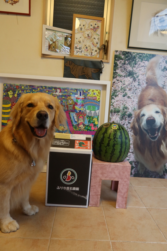 ファイル 8075-1.jpg