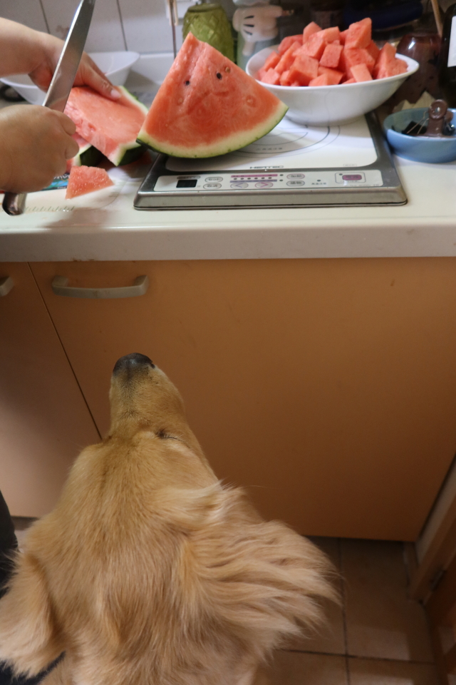 ファイル 8075-2.jpg