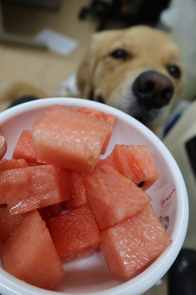 ファイル 8075-3.jpg