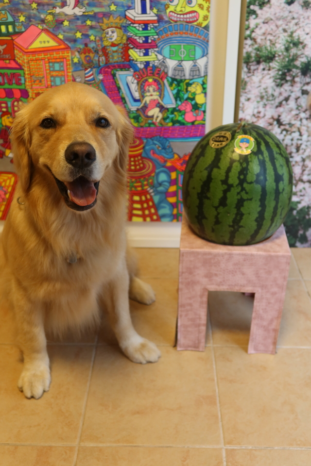 ファイル 8075-4.jpg