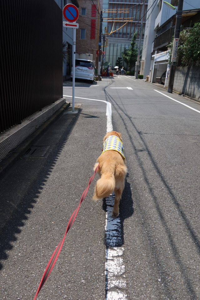 ファイル 8077-4.jpg