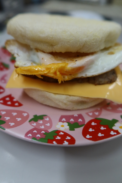 ファイル 8078-4.jpg