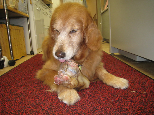 ファイル 808-3.jpg