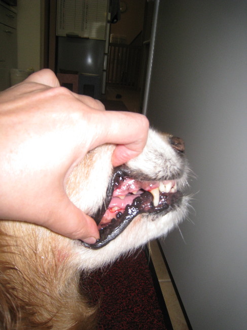 ファイル 808-4.jpg