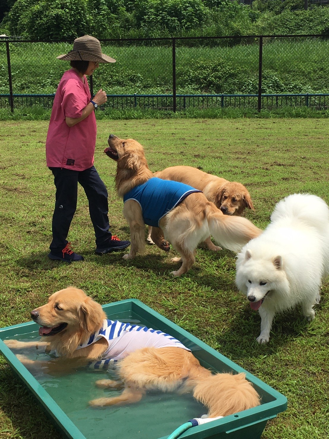 ファイル 8080-2.jpeg