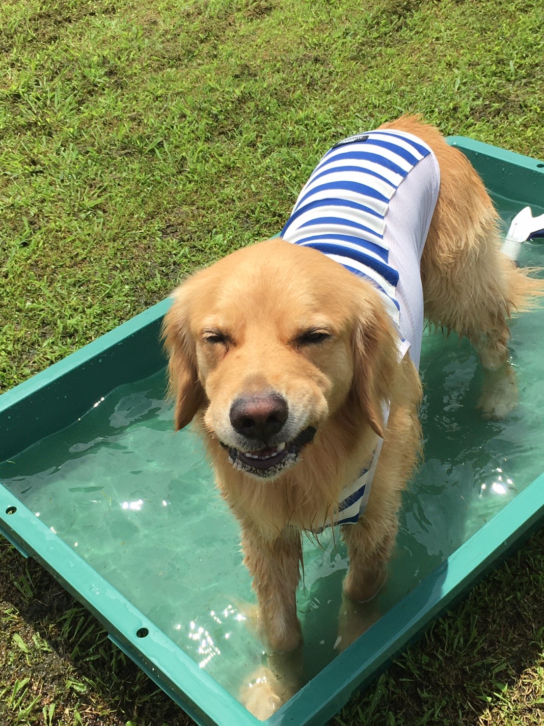 ファイル 8080-4.jpeg