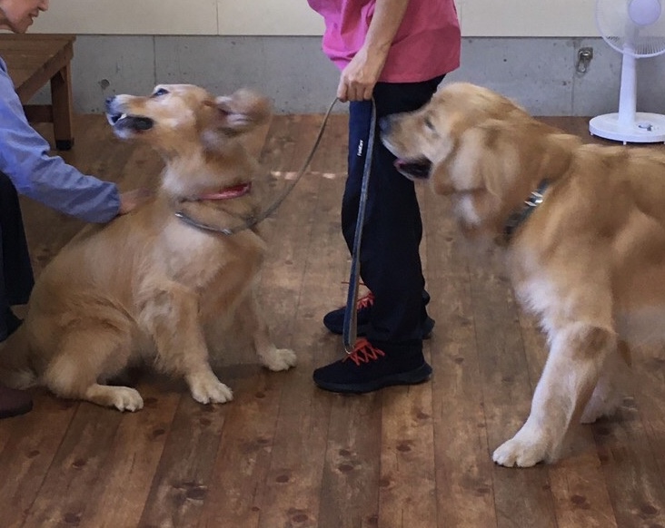 ファイル 8080-5.jpeg