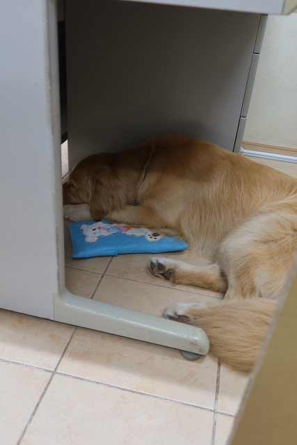 ファイル 8081-3.jpg