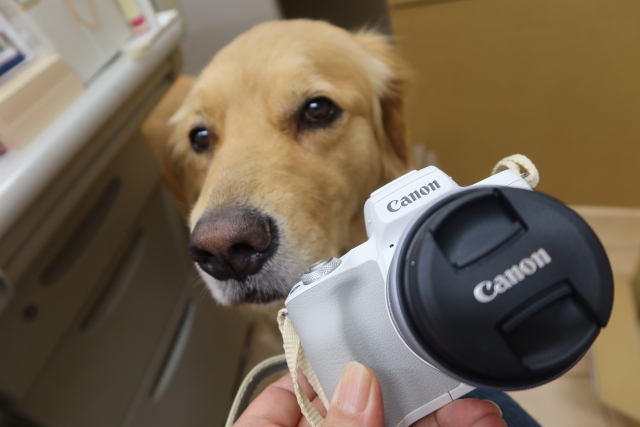 ファイル 8081-4.jpg