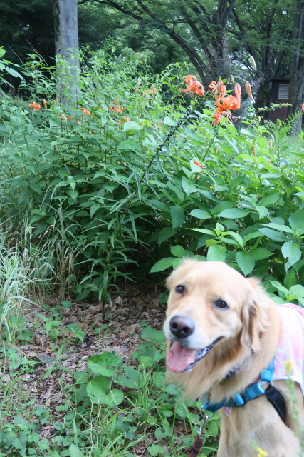 ファイル 8082-3.jpg