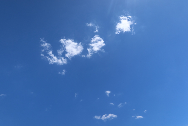 ファイル 8083-1.jpg