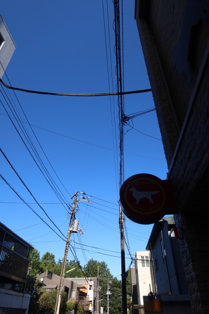 ファイル 8083-2.jpg