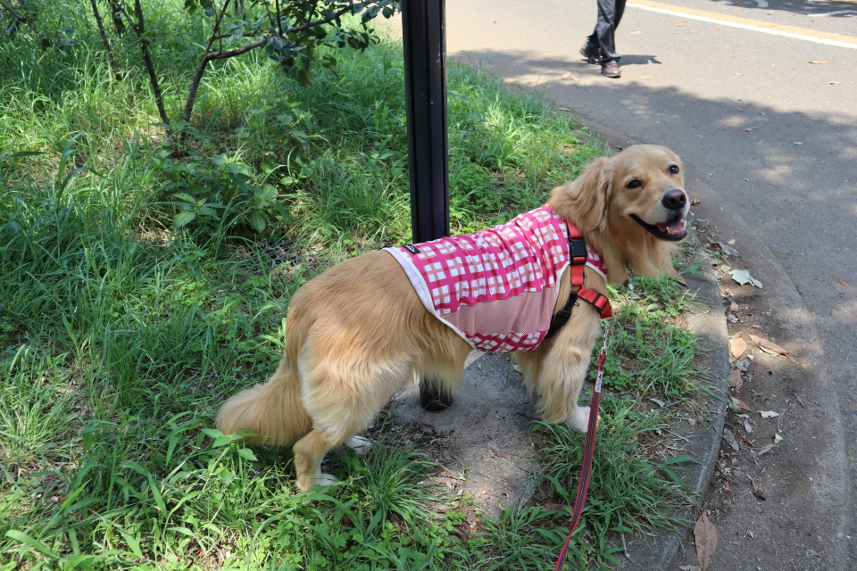 ファイル 8084-4.jpg