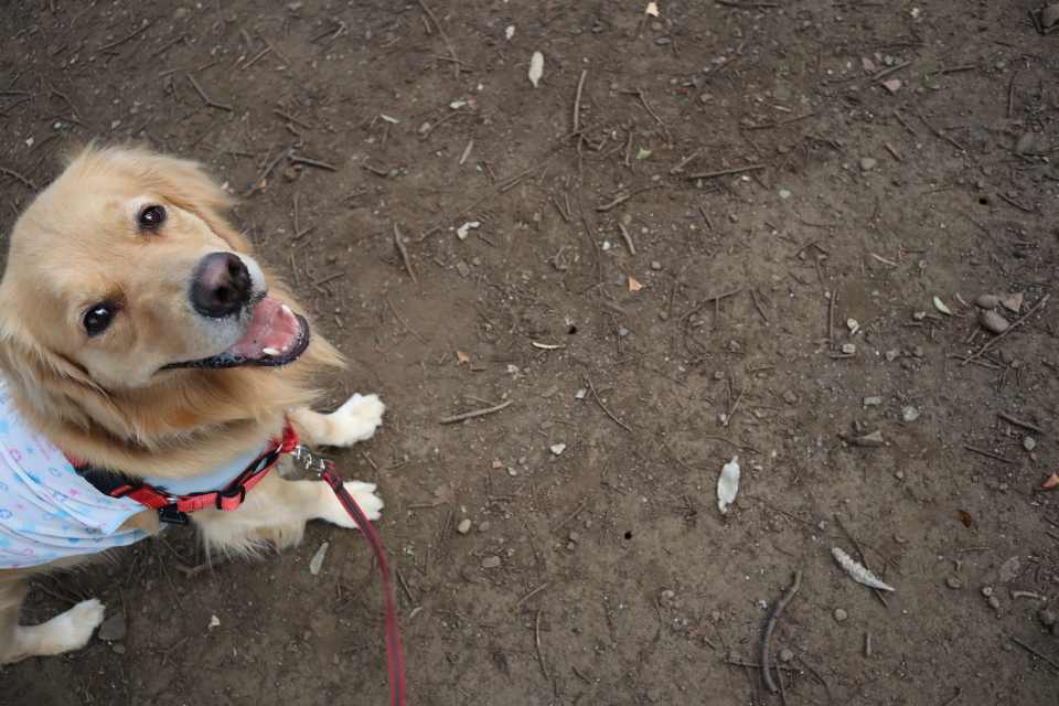 ファイル 8085-2.jpg